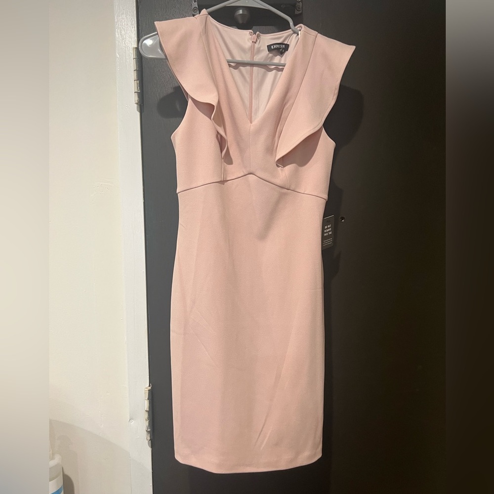 Express Professional Dress